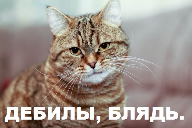 Собачья радость
