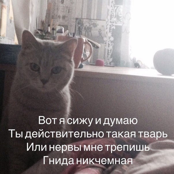 Жрети, да?
