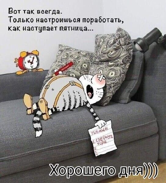 Прикольные и просто красивые картинки 18.11.2025