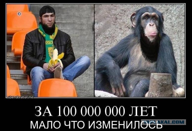 Дагестанские бизнесмены начали вводить запрет на продажу духов женщинам