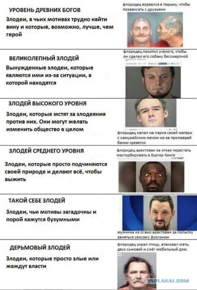 В интернете все смелые