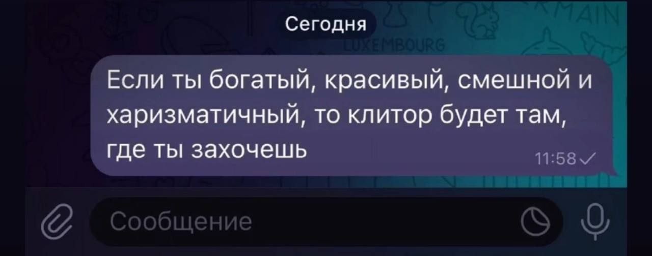 20783904.jpg