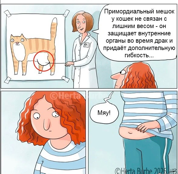 Картиночки, баянчики 25 апреля