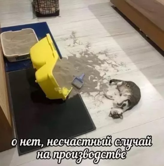 К котовторнику: подборка картинок-баянов с котиками и про котиков. Выпуск 40.