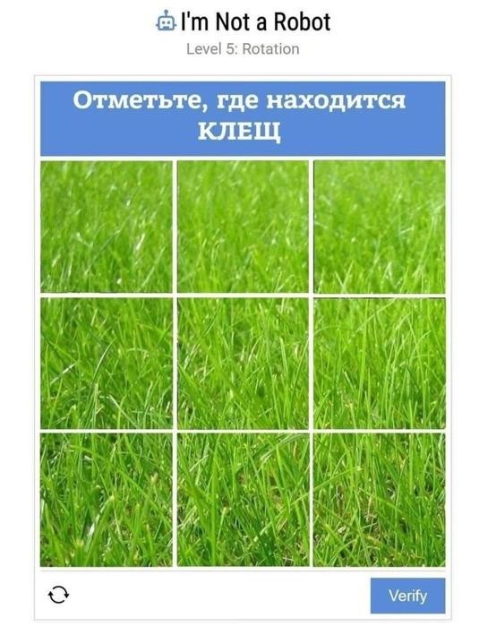 Картинки для деградации 228 (разной степени свежести)