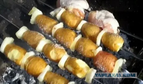 Аист с белорусами на шашлыках в выходной день