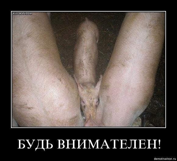 Скажу честно, я не сразу понял, что к чему.