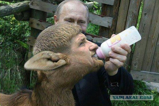 Защитника Буданова наказали чеченцы на зоне