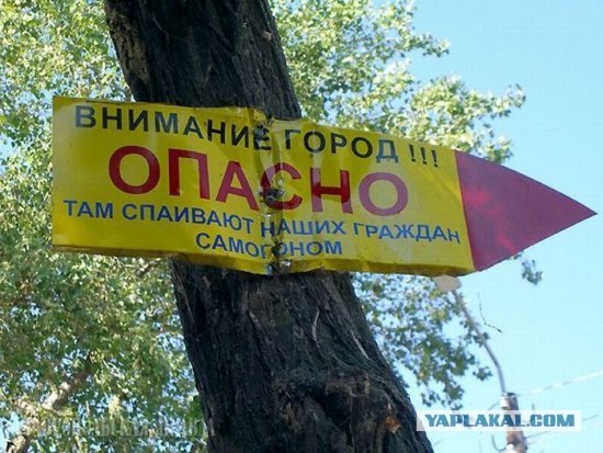 Что мы видим вокруг себя