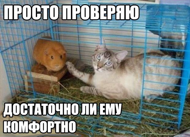 Не про олимпиаду