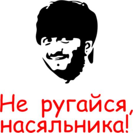 Зачем ругаешься начальника картинки