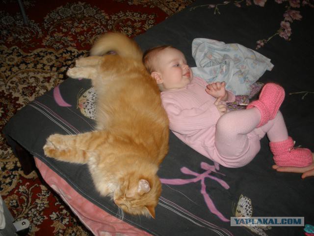 Кошка и котё... ребёнок