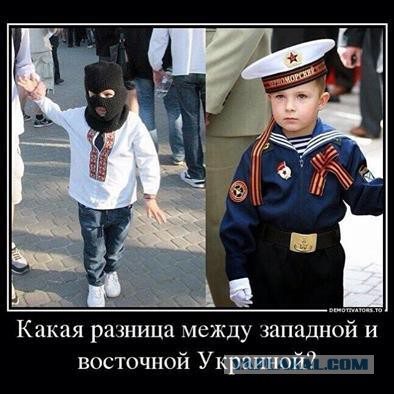 Оттуда...