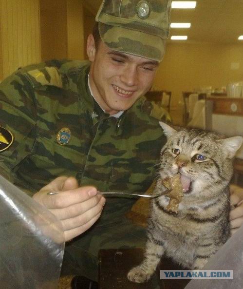 Кто не был - тот будет, кто был - не забудет