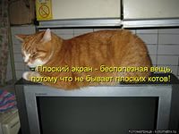 Как выглядит бесполезность