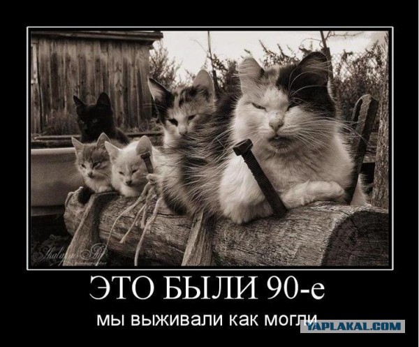 Животные на позитиве