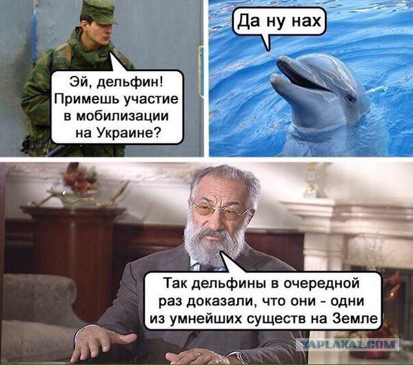 Немного картинок в пятницо.