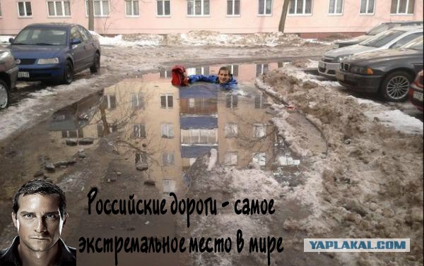 Картинки из сети