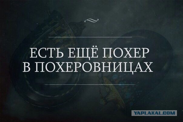 Забавные картинки из сети