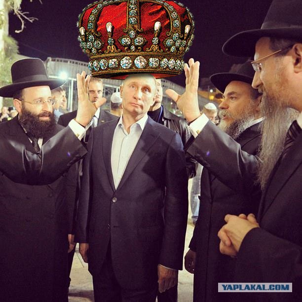 Свой среди своих