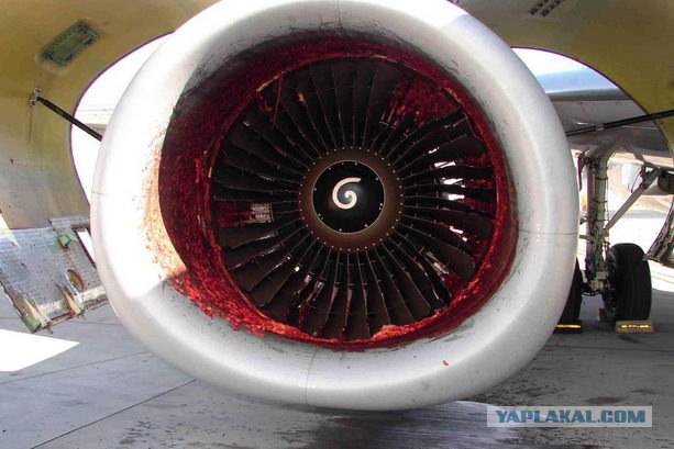 На производстве Sukhoi Superjet 100