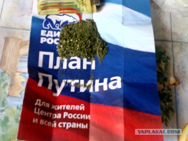 План на неделю