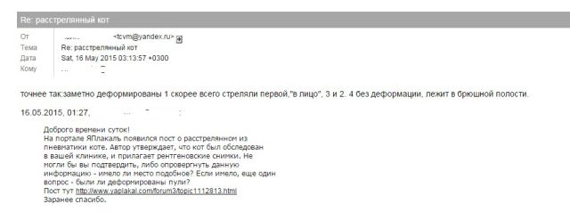Расстрелян кот