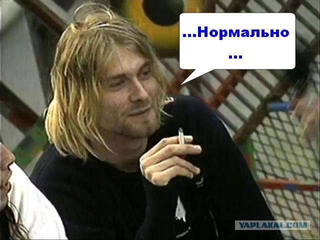 Поклонники Foo Fighters обратились к Дэйву Гролу
