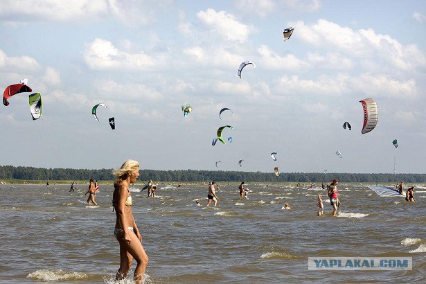 Жизнь как она есть...