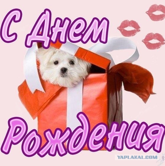 Вместе – мы сила