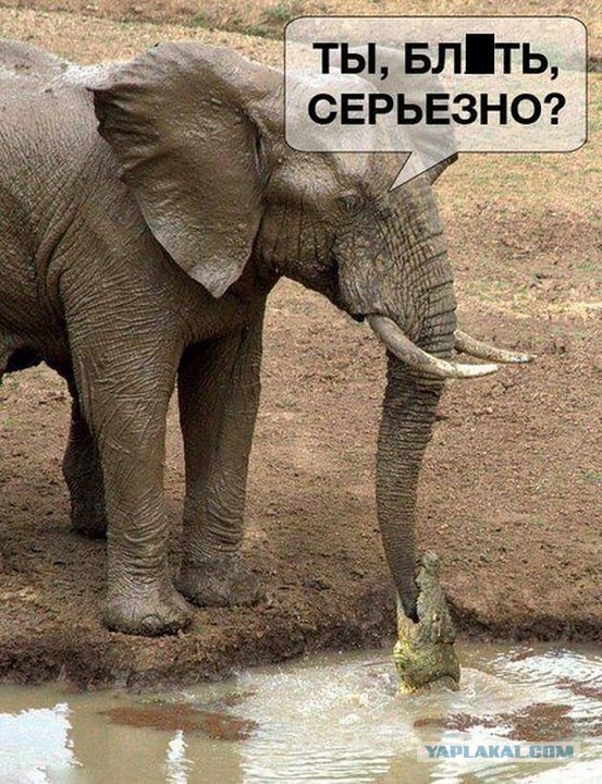 Картинки разные