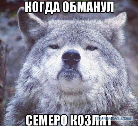 Придет серенький волчок