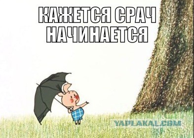 Плюшкиным посвящается