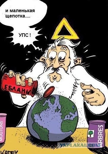 Новый Стоп Хам Спб