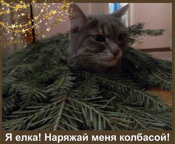 Картинки на утро вторника