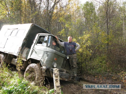 Веппский край, Южная тайга