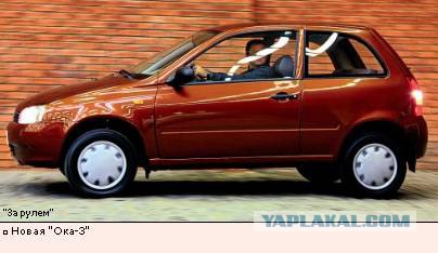 Он не похож на обычных собак, но все еще очаровывает каждого встречного