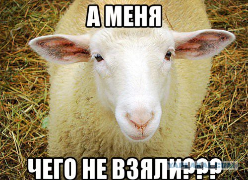 Развлекаются идиоты...