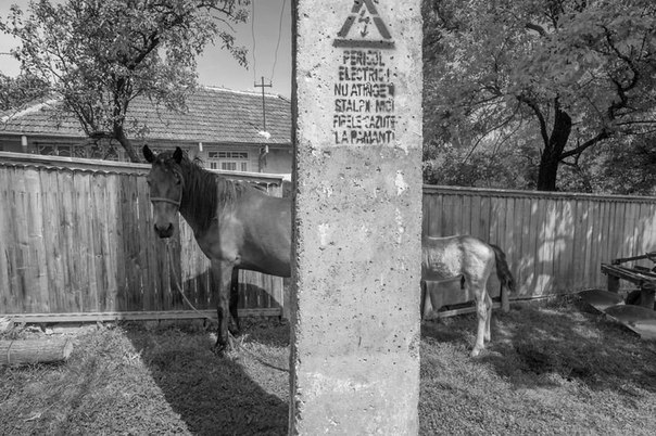 Подборка картинок на среду