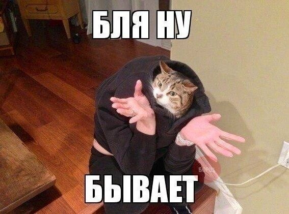 Мохнатые беспредельщики
