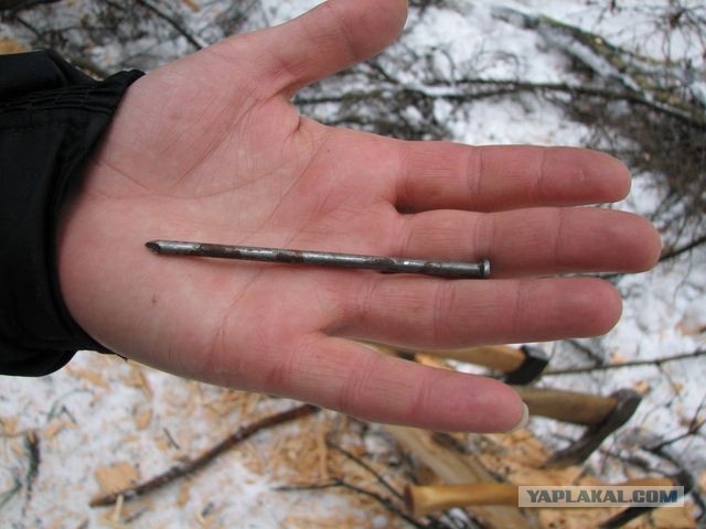Я вашу детскую площадку шатал и тротуар...
