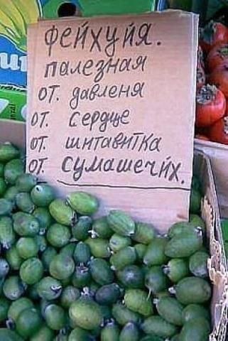 Российский рынок: бессмысленный и беспощадный