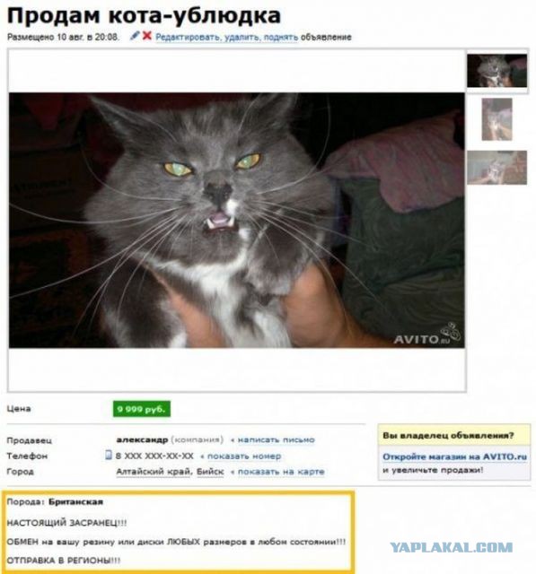 Объявления с Авито