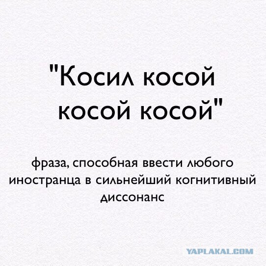 Несколько фоток