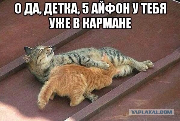 Смешные картинки из сети на 04.11.16