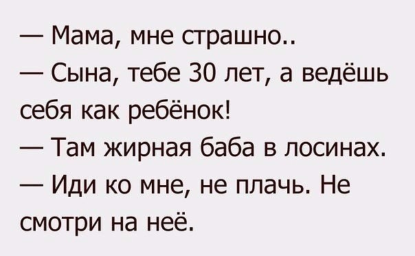Анеки и коротыши перед Рождеством