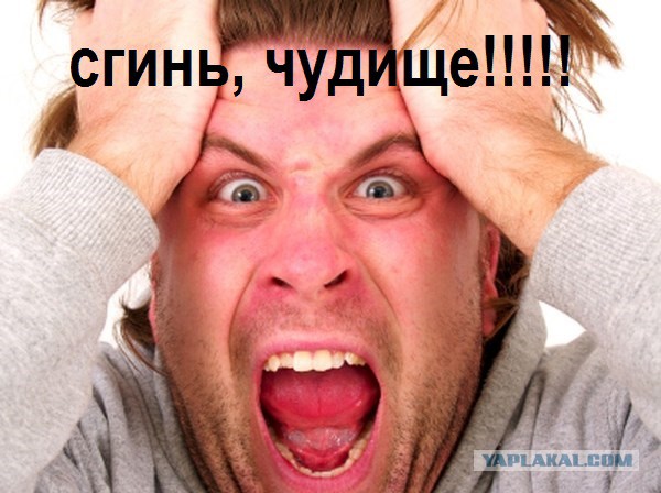 Мускулистая Юлия Винс из России стала мечтой пауэрлифтеров со всего мира