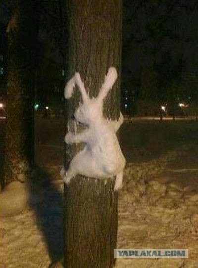 Юмор не для всех