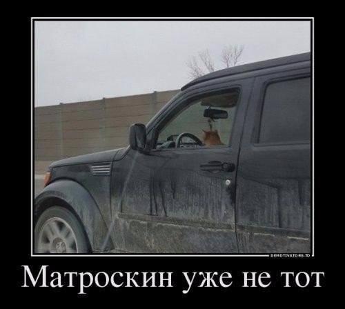 Подборка безудержного веселья