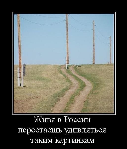 Подборка безудержного веселья